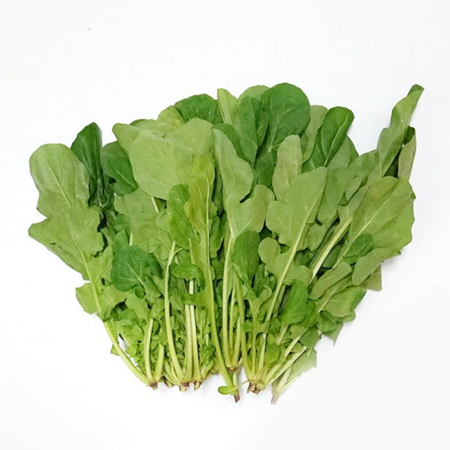 루꼴라 rucola 1kg 허브 향신료, 1개