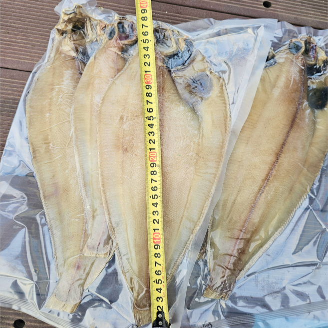 저도어장 반건조 알가자미 어구가자미 용가자미 최북단대진항조업 국내산, 1개, 북태평양 특대가자미 900g이상 (2-3미)