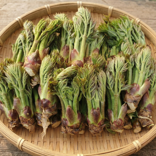 [한정수량] 산지직송 프리미엄 봄 참두릅, 1박스, 300g