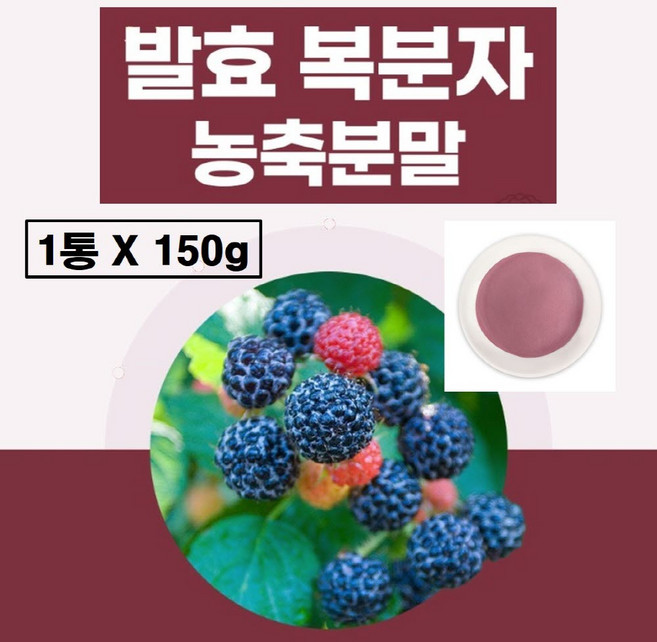 고창 복분자분말 국산 가루 식약청 haccp 인증 국내산 발효 농축 농축액 파우더 고창산 판매 먹는법 식약처 해썹, 1개, 150g