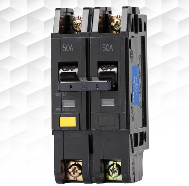 士林電機 NVB-50L 2P2E 漏電斷路器 過負載保護裝置, 1個, 30A