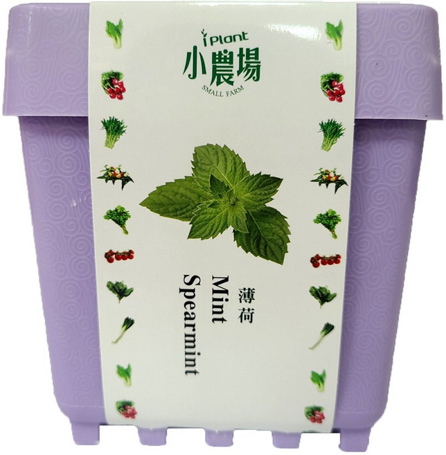 iPlant 積木懶人盆栽農場 薄荷 種子盆栽 香草 培養土