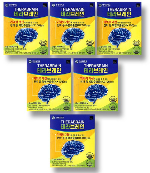연세대 테라브레인, 60g, 6개