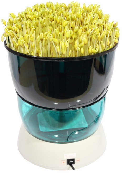 청시루 SC-9000 국내형 일반형 콩나물재배기 새싹 시루, 1개