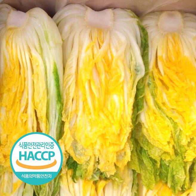 [예약판매] 해썹인증 강원도 절임배추 절인 김장 김치 인제, 01.*연중출하(받을날짜기입요망,5일후이상), 1박스, 20kg