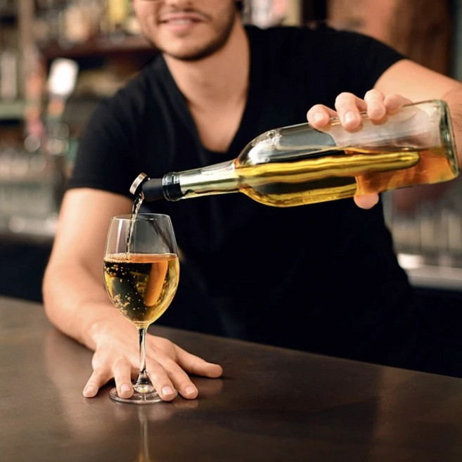 CORKCICLE 葡萄酒保冷棒，快速冰鎮，維持品飲溫度, 1個, 矽膠