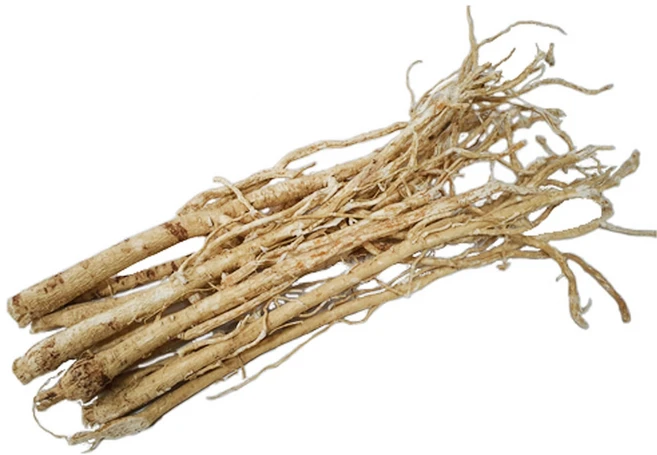 제천 제원약초 2025년 햇 국내산 황기(1년근 피황기), 400g, 1개 - 쿠팡