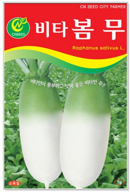 향채 씨앗 택1 고수/공심채/루꼴라/방아/강화순무/고들빼기/알타리/엇갈이/열무 등, 1개