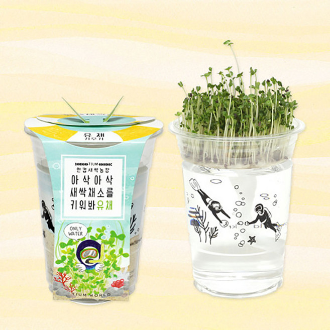 초등 M한컵새싹농장 유채 어린이집 유치원 키우기 초등교구 학교 다이키트 3학년, 1개