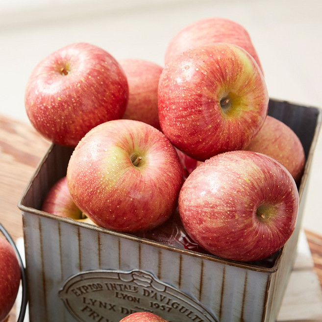 산지직송 고랭지 경북 영주 풍기 못난이 금계사과 사이즈 랜덤, 1박스, 5kg