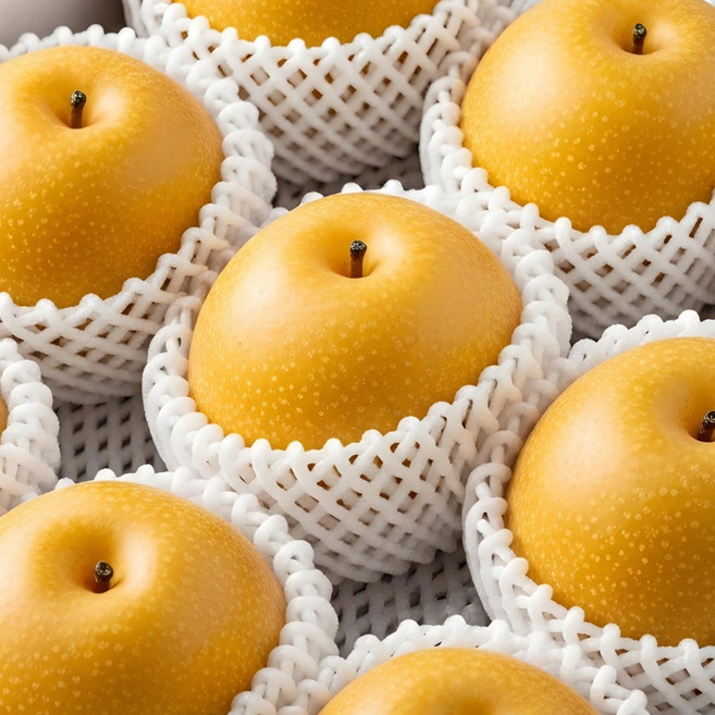 농부를 찾아서 고당도 나주배 대과/특대과, 1박스, 대과 5kg(8~9과)