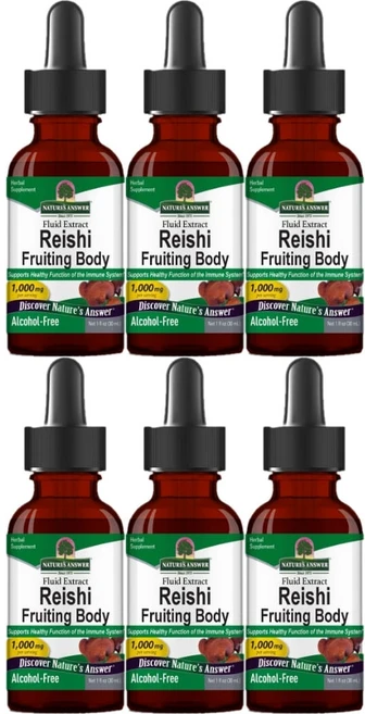 네이처스앤서 고흡수 영지버섯 자실체 1000mg 액상 액체, 6개, 30ml - 쿠팡