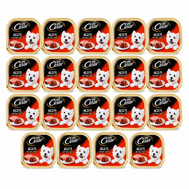 굿픽샵 코스트코 시저 쇠고기 강아지 습식사료 100g x 19개입 반려견 캔사료 대용량+유럽수입사탕증정, 19개, 소