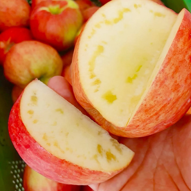 [마감특가] 15brix 벌꿀당도 경북 햇사과 꿀사과, 1박스, 5kg(대과)