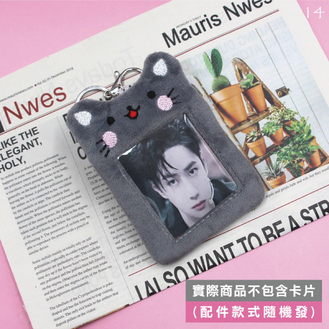 可愛動物造型毛絨卡套 悠遊卡套 證件套 拍立得吊飾 追星周邊, [14]灰貓咪, 1個