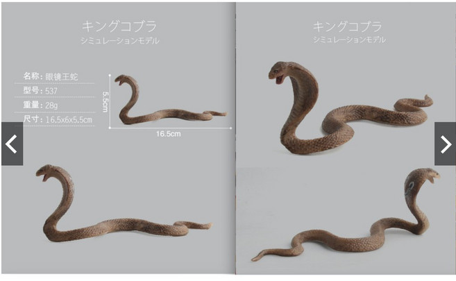 仿真 眼鏡蛇 蛇 爬行動物 模型 野生動物 兒童玩具 益智 公仔 SPG5 隨草憶境, 1個, 眼鏡王蛇（身體微曲）