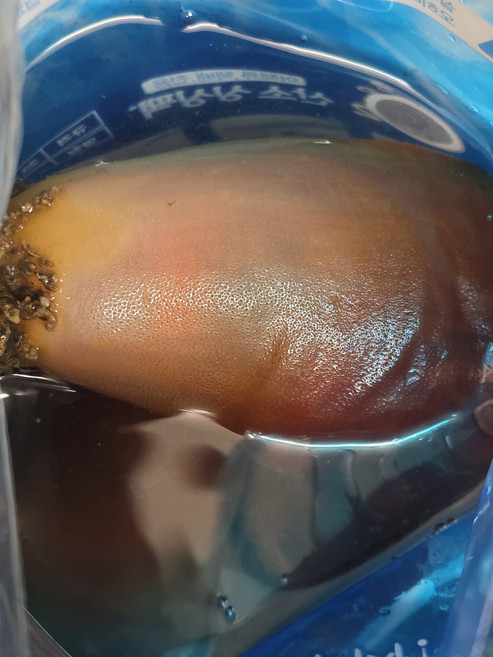 굴 귀한 비단멍게 맛좋은 대용량 가족용 수산물/건어물 신선식품 특별한 제철 1kg 1개