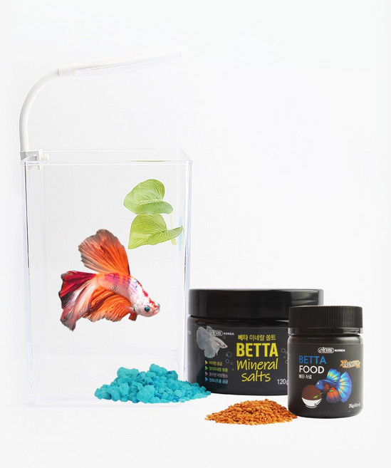 베타 키우기 어항 풀세트 어항+조명+사료+비타민+베타침대 5종세트, 베타 룸, 화이트, 1개