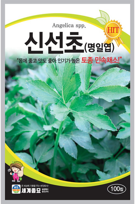 신선초 씨앗 100립 / 명일엽 산채나물 씨앗 종자 텃밭키우기 채소키우기, 1개