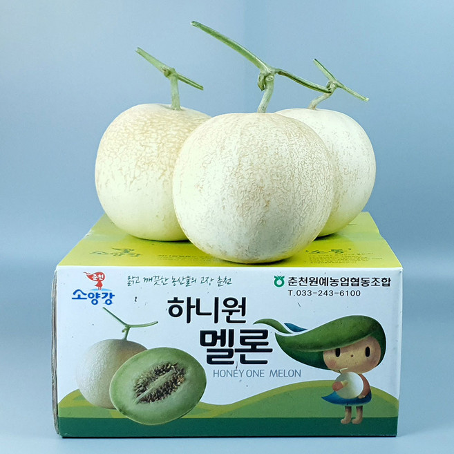 춘천 하니원 멜론 -메론의 끝판 왕 하니원메론, 900~1100g (대과), 2개
