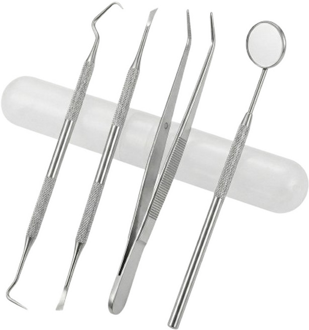 의료기기 치석제거기 4종 케이스 가정용 셀프 스케일러 치석제거 스케일링 치석 치경, 1개, JMC-DS04