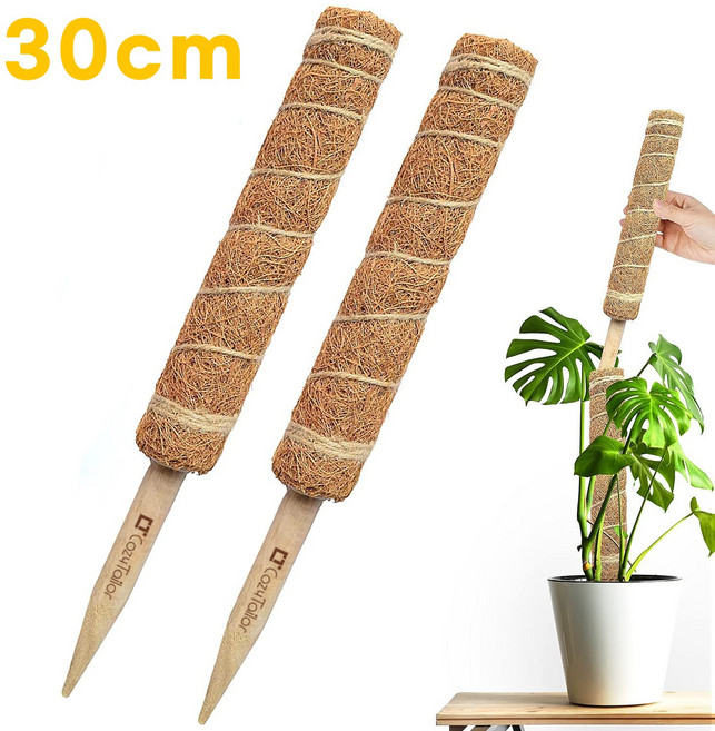 코지테일러 수태봉 몬스테라 연결형 식물 지지대 넝쿨 화분 코코봉 B84, 35CM, 1개