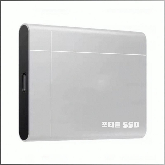 고속 안정 이동형 PC SSD, 4TB, 블루
