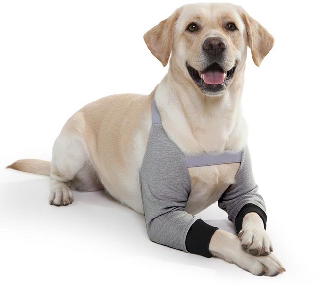 견행묘행 강아지 무릎 보호대 관절 보호, 1개, 그레이