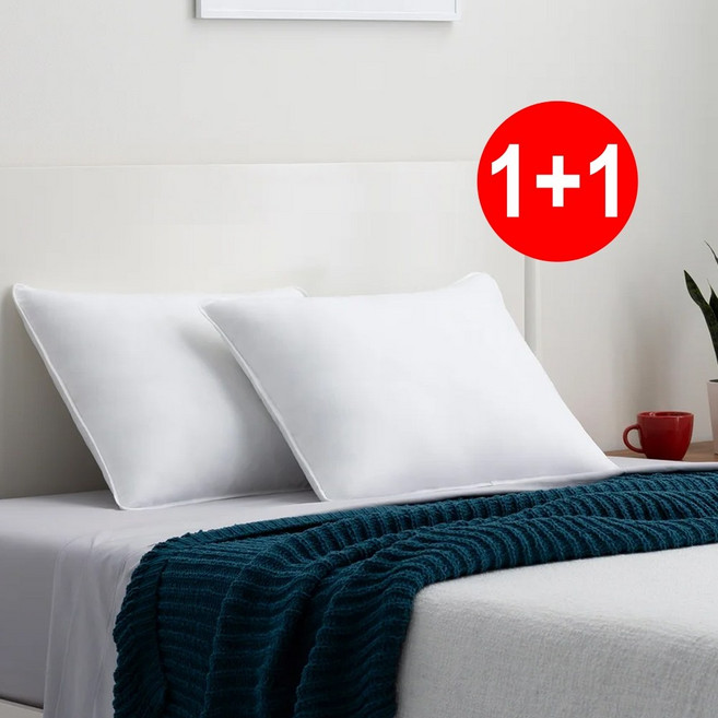 1+1 통째로 빨아쓰는 퓨어리 항균베개솜(진드기차단) 40x60 / 50x70, 1개, 항균