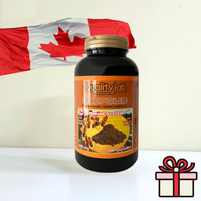 퀄리티랩 프로폴리스 골드 300정 500mg +사은품 캐나다, 1개 - 쿠팡