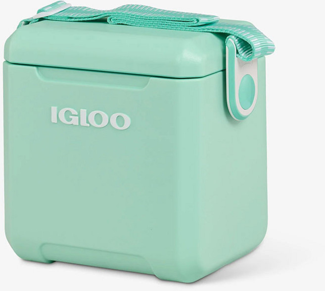 이글루 미니 차량용 피크닉 아이스박스 10리터, 민트, 10L