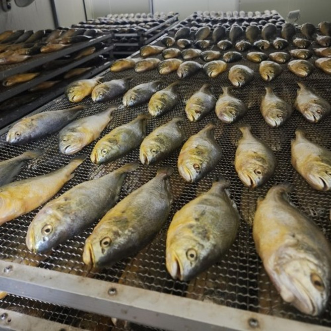 반건조 부세조기 왕특대 (마리당 24~28cm내외 280g내외), 1개, 왕특대 2마리