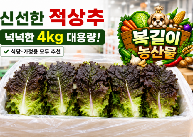 3위 - [복길이농산물] 국내산 상추 4kg 적상추, 1박스