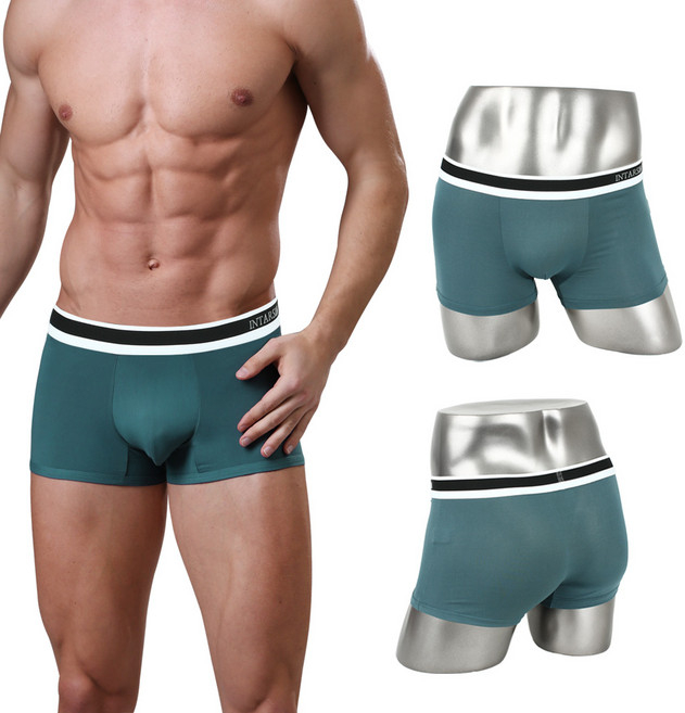 인따르시아 빅사이즈 라인 드로즈 팬티 2종