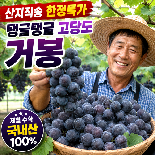 [26년 첫수확특가] 국내산 고당도 거봉 포도 산지직송, 1박스, 1kg