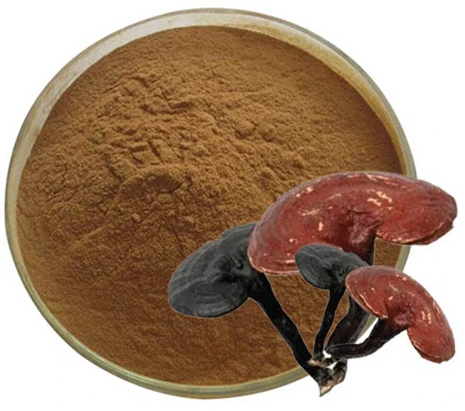 영지버섯추출분말 100g 샘플, 1개 - 쿠팡