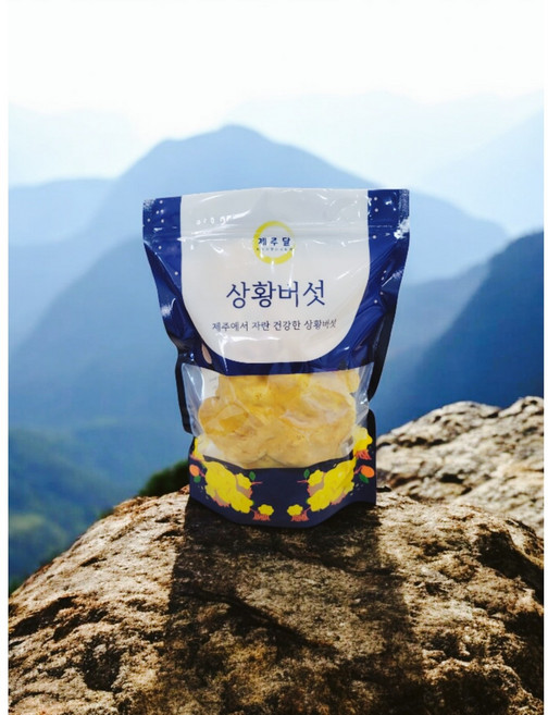 청정 제주상황버섯 제주달 유기농 상황버섯 단품, 1개, 원물A200g