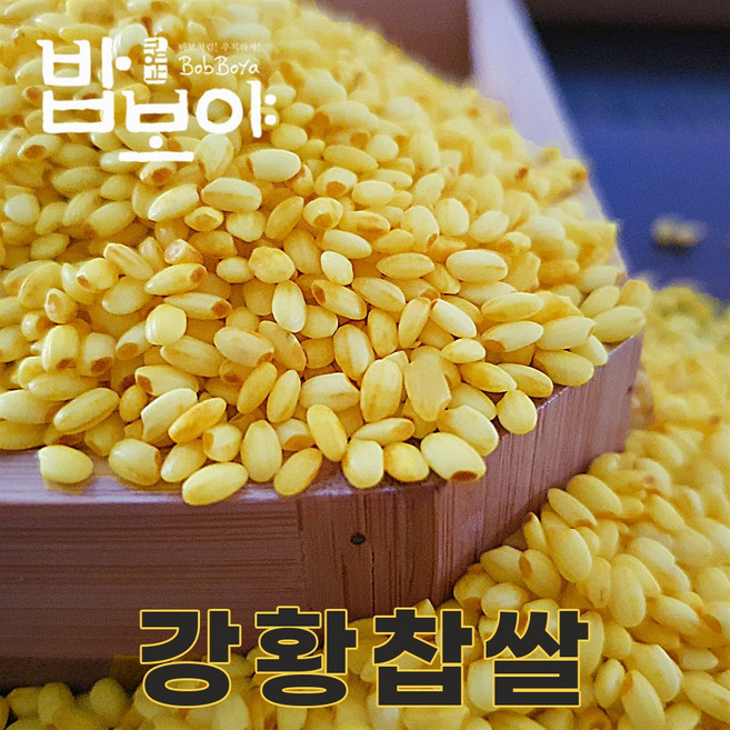 밥보야 25년산 강황찹쌀 1kg 국산찹쌀, 1개