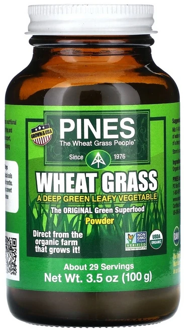 파인스 위트 그래스 파우더, 100g, 1개 - 쿠팡