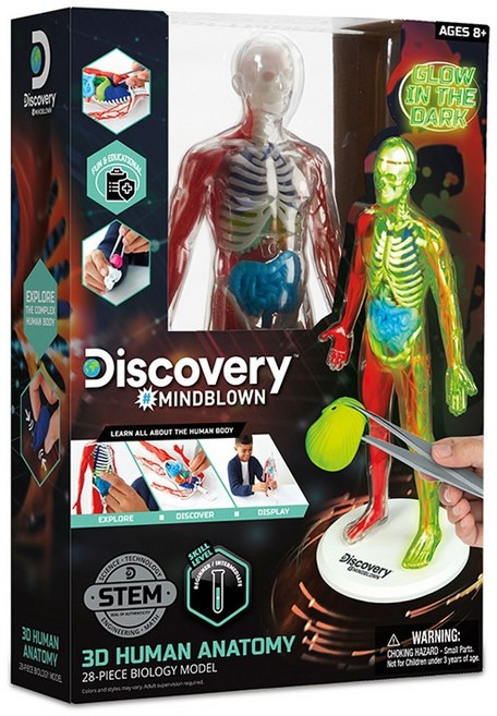 디스커버리 3D 야광 인체 해부 모형 키트, 1개