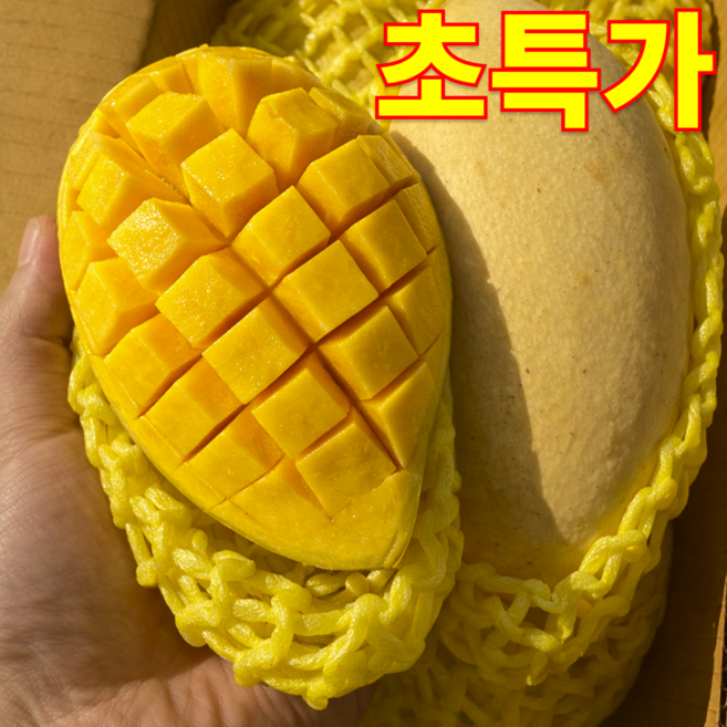 200Box초특가 과즙폭발 고당도 태국 골드망고, 1박스, 1kg