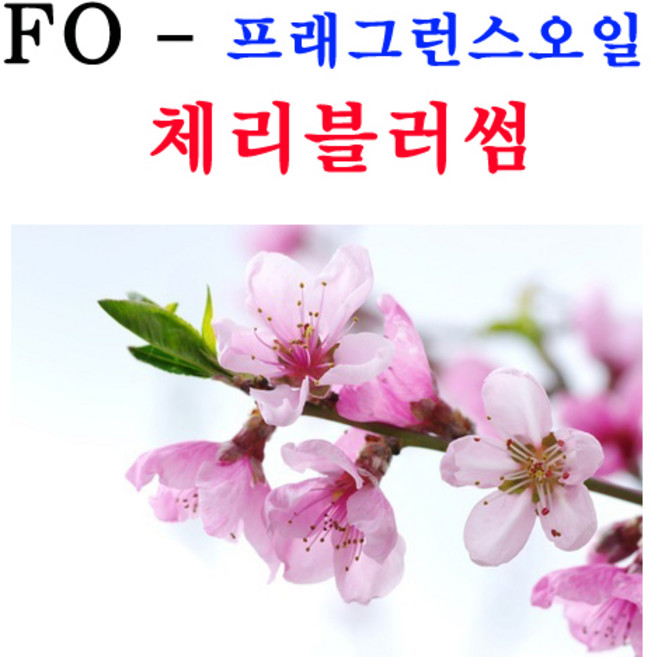 코리아씨밀락 프래그런스오일 체리블러썸향, 프래그런스오일 체리블러썸향 100ml, 1개