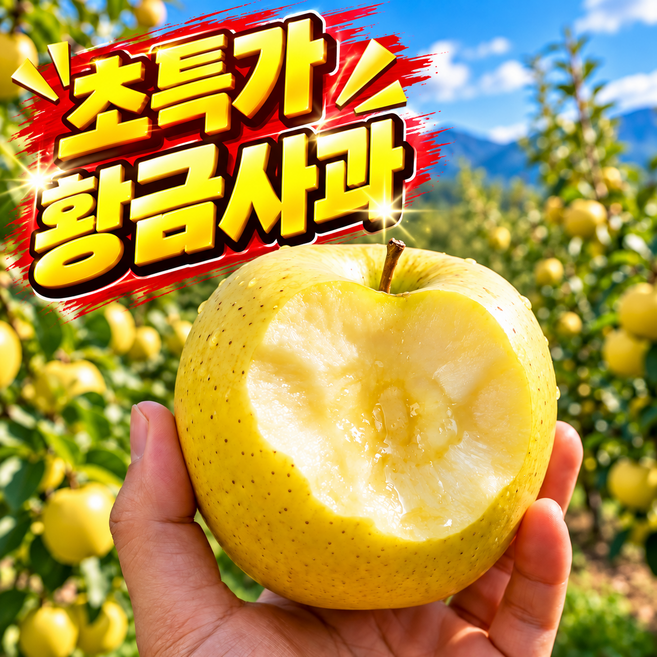 [딱100박스한정] 아삭달콤 꿀brix 시나노골드사과 산지특가, 1박스, 2kg