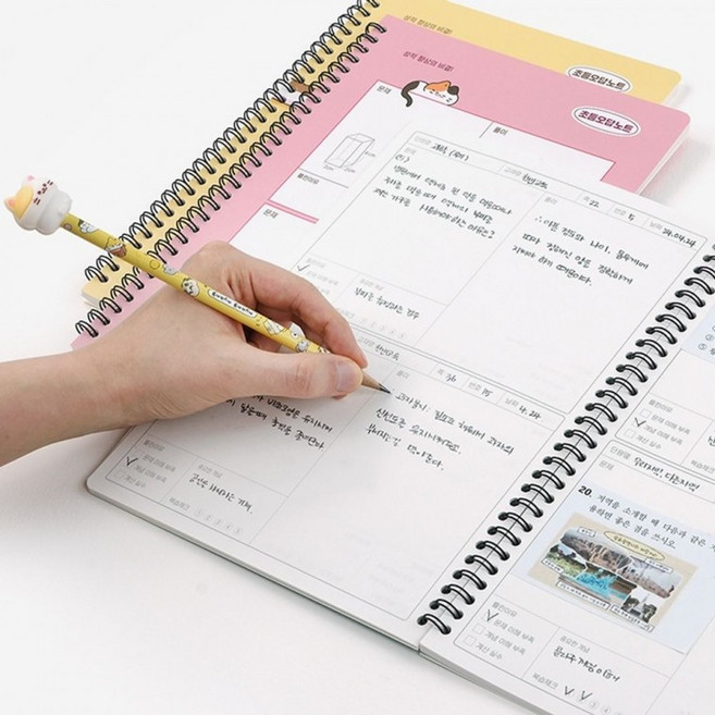 냥냥 오답 노트 초등 학생 공책 스프링 노트 랜덤