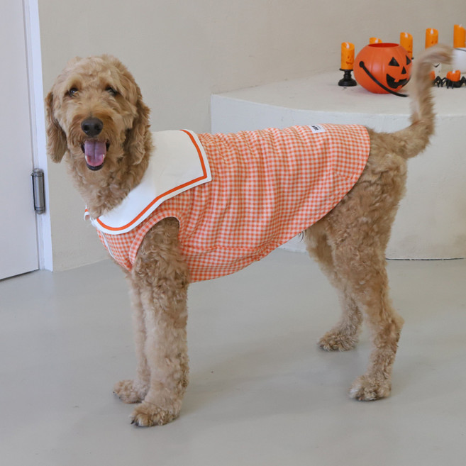 유앤펫 강아지옷 잔체크 코지 세일러 티셔츠 중형견 대형견옷, 오렌지, 1개