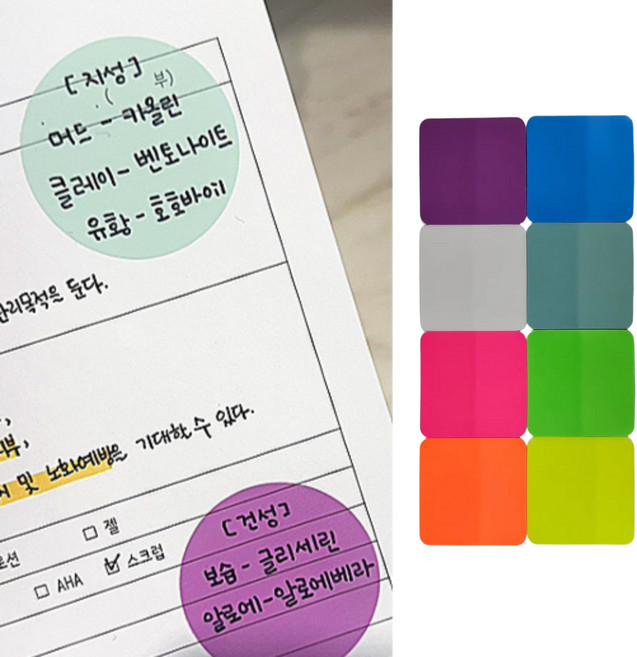 에브리체 깔끔한 독서 메모 플래그 스티커, 8개