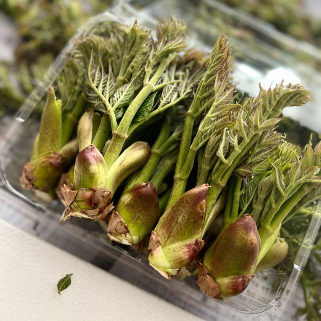 두릅 판매 첫순 산두릅 참두릅1Kg 국산 지리산 순창 가야산 청도, 참두릅 1kg 장아찌용, 1kg, 1개