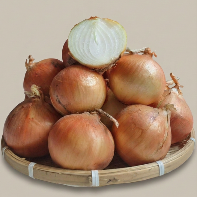 국내산 고령양파 특대 식자재용 대용량, 1박스, 특대 10kg