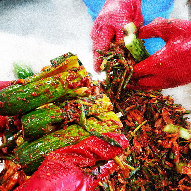 최고급 양념 전라도 오이소박이 1.5kg, 1개