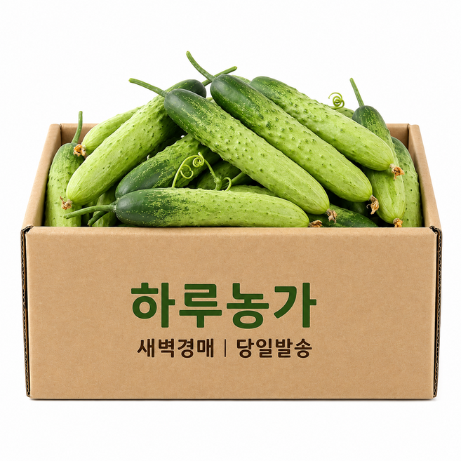 하루농가 새벽경매 당일발송 국내산 다다기오이, 1개, 10kg